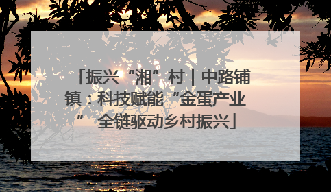 振兴“湘”村｜中路铺镇：科技赋能“金蛋产业” 全链驱动乡村振兴