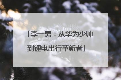 李一男：从华为少帅到锂电出行革新者