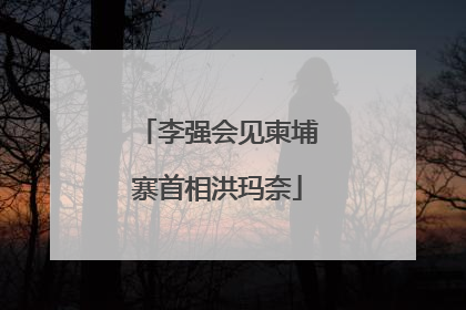 李强会见柬埔寨首相洪玛奈