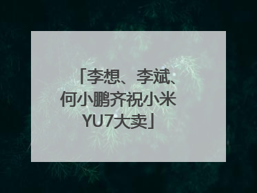 李想、李斌、何小鹏齐祝小米YU7大卖