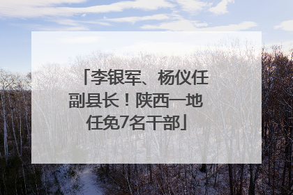 李银军、杨仪任副县长！陕西一地任免7名干部