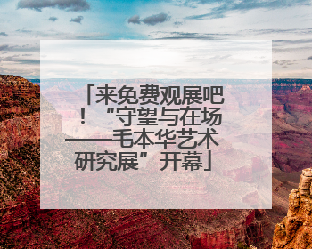 来免费观展吧！“守望与在场——毛本华艺术研究展”开幕