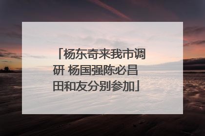 杨东奇来我市调研 杨国强陈必昌田和友分别参加