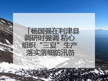 杨国强在利津县调研时强调 精心组织“三夏”生产 落实落细防汛备汛工作