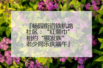 杨园街道铁机路社区：“红领巾”相约“银发族” 老少同乐庆端午