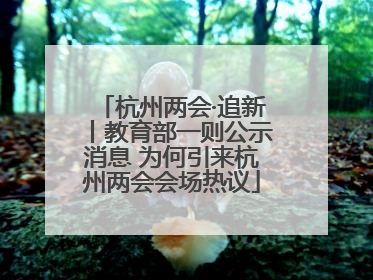 杭州两会·追新丨教育部一则公示消息 为何引来杭州两会会场热议