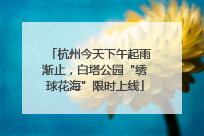 杭州今天下午起雨渐止，白塔公园“绣球花海”限时上线