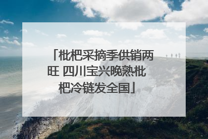 枇杷采摘季供销两旺 四川宝兴晚熟枇杷冷链发全国