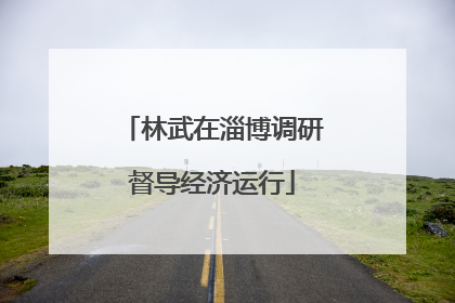林武在淄博调研督导经济运行
