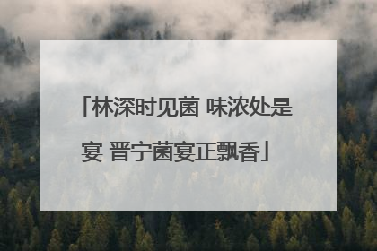 林深时见菌 味浓处是宴 晋宁菌宴正飘香