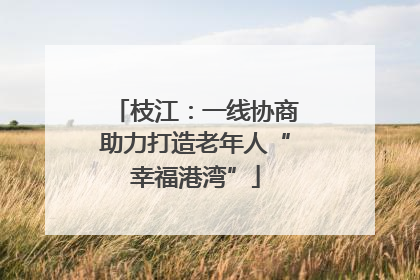 枝江：一线协商助力打造老年人“幸福港湾”