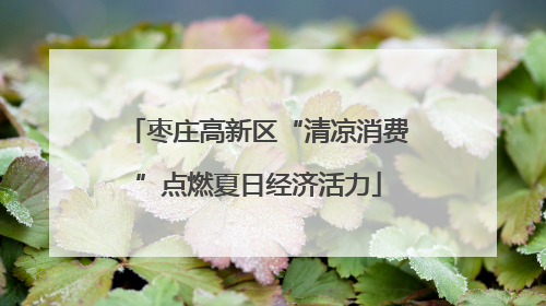 枣庄高新区“清凉消费”点燃夏日经济活力