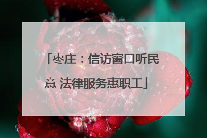 枣庄：信访窗口听民意 法律服务惠职工