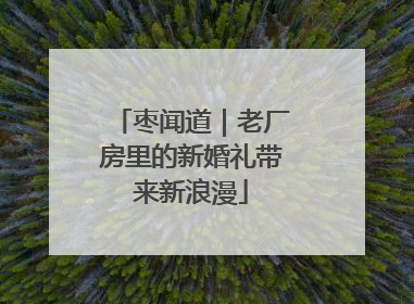 枣闻道｜老厂房里的新婚礼带来新浪漫