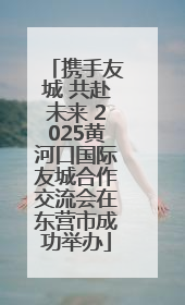 携手友城 共赴未来 2025黄河口国际友城合作交流会在东营市成功举办