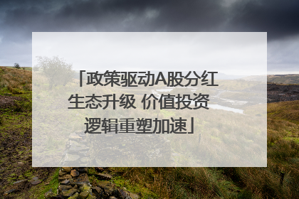 政策驱动A股分红生态升级 价值投资逻辑重塑加速