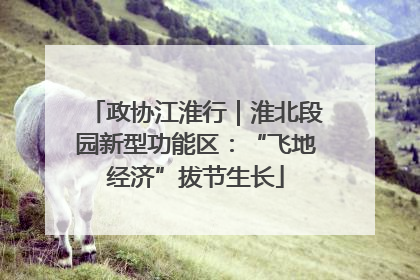 政协江淮行｜淮北段园新型功能区：“飞地经济”拔节生长