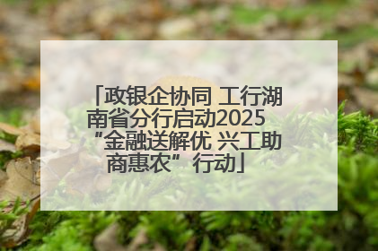 政银企协同 工行湖南省分行启动2025“金融送解优 兴工助商惠农”行动