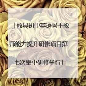 攸县初中英语骨干教师能力提升研修项目第七次集中研修举行