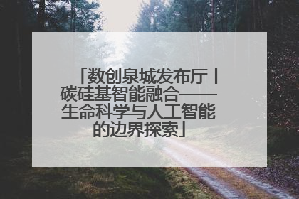 数创泉城发布厅丨碳硅基智能融合——生命科学与人工智能的边界探索