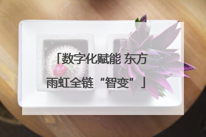 数字化赋能 东方雨虹全链“智变”