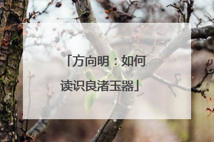 方向明：如何读识良渚玉器