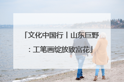 文化中国行丨山东巨野：工笔画绽放致富花
