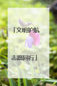 文明护航 志愿同行