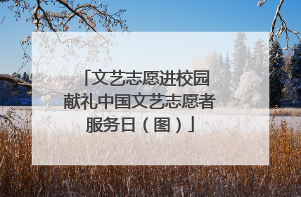 文艺志愿进校园 献礼中国文艺志愿者服务日（图）