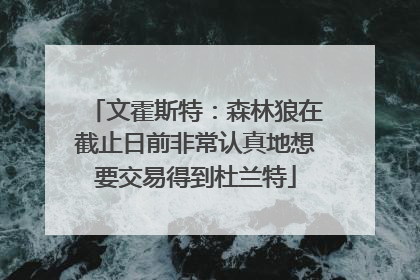 文霍斯特：森林狼在截止日前非常认真地想要交易得到杜兰特