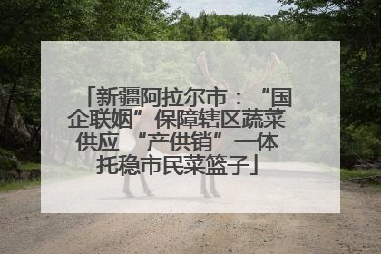 新疆阿拉尔市：“国企联姻”保障辖区蔬菜供应 “产供销”一体托稳市民菜篮子