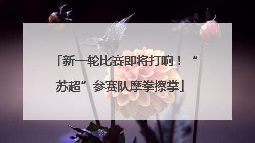 新一轮比赛即将打响！“苏超”参赛队摩拳擦掌
