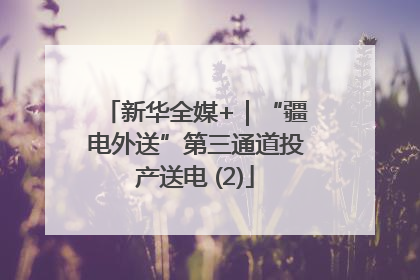 新华全媒+｜“疆电外送”第三通道投产送电 (2)