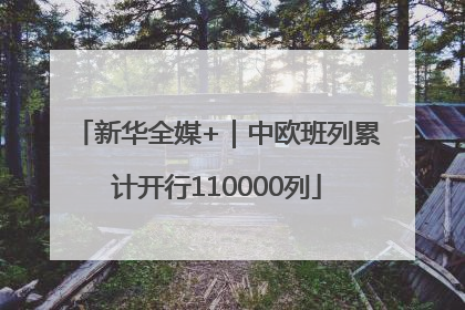 新华全媒+｜中欧班列累计开行110000列