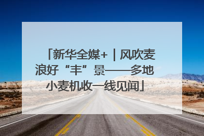 新华全媒+｜风吹麦浪好“丰”景——多地小麦机收一线见闻