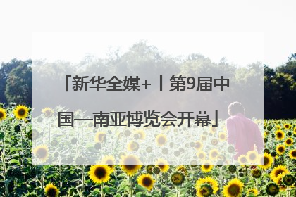 新华全媒+丨第9届中国—南亚博览会开幕
