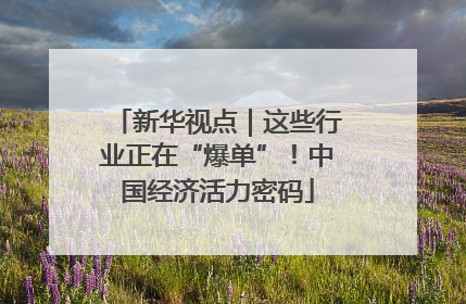 新华视点｜这些行业正在“爆单”！中国经济活力密码