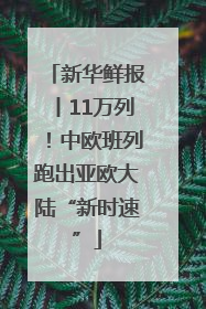 新华鲜报丨11万列！中欧班列跑出亚欧大陆“新时速”