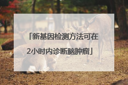 新基因检测方法可在2小时内诊断脑肿瘤