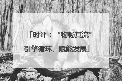 时评：“物畅其流”引擎循环、赋能发展
