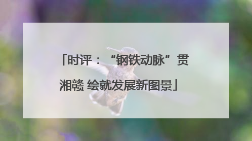 时评：“钢铁动脉”贯湘赣 绘就发展新图景