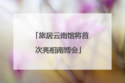 旅居云南馆将首次亮相南博会