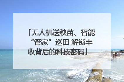 无人机送秧苗、智能“管家”巡田 解锁丰收背后的科技密码