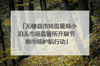 无棣县市场监管局小泊头市场监管所开展节前市场护航行动