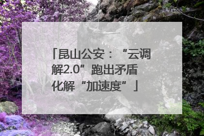 昆山公安：“云调解2.0”跑出矛盾化解“加速度”