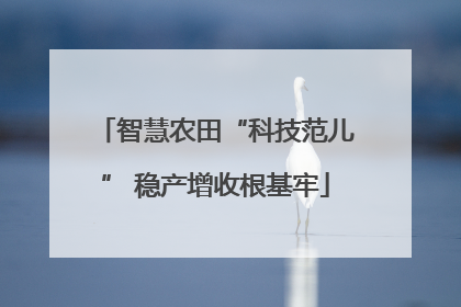 智慧农田“科技范儿” 稳产增收根基牢