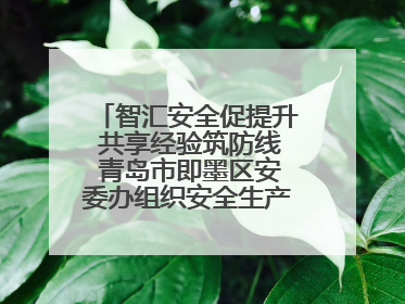 智汇安全促提升 共享经验筑防线 青岛市即墨区安委办组织安全生产共享专家现场观摩学习活动