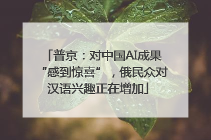 普京：对中国AI成果“感到惊喜”，俄民众对汉语兴趣正在增加