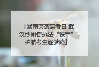 暴雨突袭高考日 武汉纱帽街执法“铁军”护航考生逐梦路