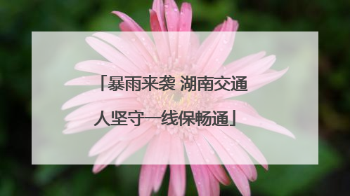 暴雨来袭 湖南交通人坚守一线保畅通